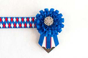 Harness Mini: Blue, White, and Red 13" Show Browband