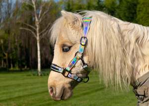 Harness Mini: Holographic Halter
