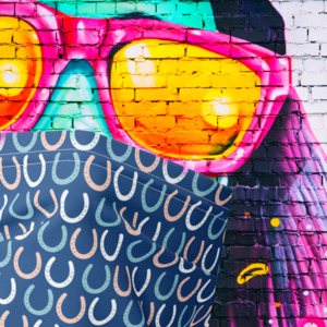 Dreamers & Schemers Neck Gaiters