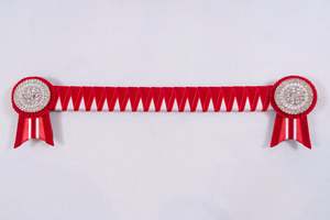 Show Browbands: Red and White 16" Show Browband