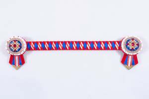 Show Browbands: Gold, Red, White, and Blue 15" Show Browband