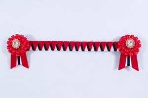 Show Browbands: Red, Dark Navy, and White 13.5" Show Browband