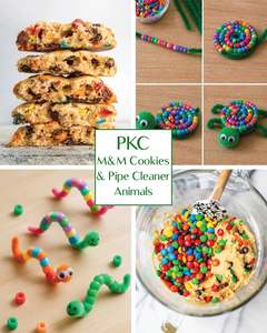 PKC - M&M Cookies + Pipe Cleaner Animals | Wednesday 15th July