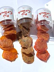 Pup Chips (40g)