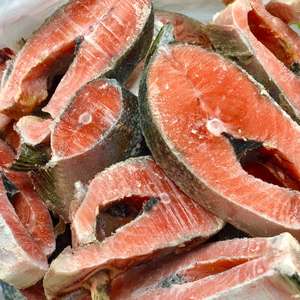 All: Packs - SALMON STEAK - Frozen Slices