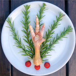 All: Packs - CHICKEN FEET - Organic Whole Frozen
