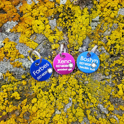 Products: Aluminium Round Small for Cats & Dogs Puptrek