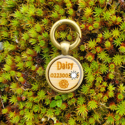 Products: Antique Bronze Round Small for Cats & Dogs Puptrek