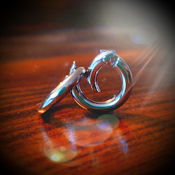 Products: Silver & Bronze Stylish Spring Clip for Dogs Puptrek