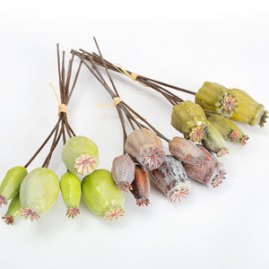 Poppy fruit Puredeco