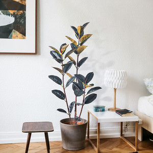 Products: Artificial Rubber Tree Puredeco