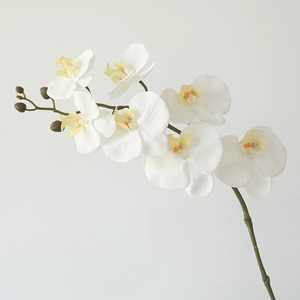 Products: Artificial Phalaenopsis 7flowers Puredeco