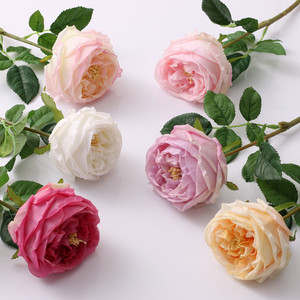 Real-touch Austin Roses Puredeco