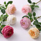 Real-touch Austin Roses Puredeco
