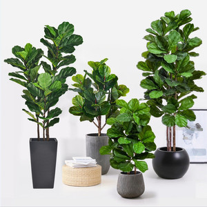 Products: Artificial Fiddle-leaf Fig Puredeco