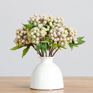 Products: Berry branches Puredeco