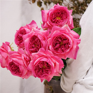 Real-touch Artificial Rose Austin Juliet Puredeco