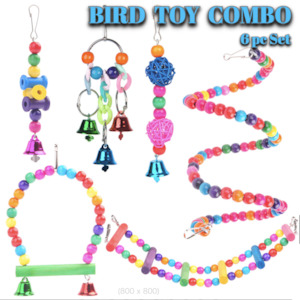 Bird: Bird toys parrot toys hanging swing ladder 6pc Combo