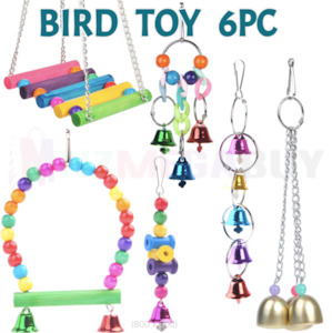 Bird toys parrot toys hanging swing ladder 6pc Combo