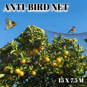 Farming Forestry: Anti Bird Netting, Fruit protector *2 Sizes