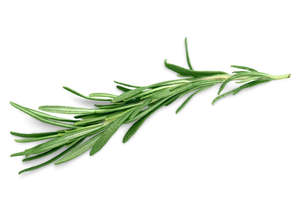 Frontpage: Thyme (white) Essential oil