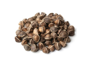 Carrier Oils: Moringa Seed Oil - Cold Pressed