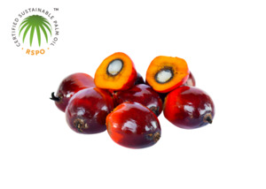 Carrier Oils: Palm Oil - Refined RSPO