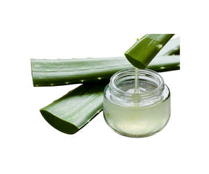 Carrier Oils: Aloe Vera Gel Natural