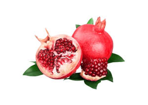 Carrier Oils: Pomegranate Oil - Organic