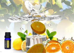 Essential Oil Blends: Citrus Lift Essential Oil Blend