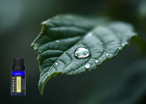 Essential Oil Blends: Clarity Essential Oil Blend