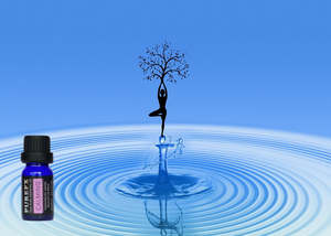 Essential Oil Blends: Calming Essential Oil Blend