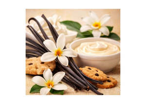 Lip Balm Supplies: French Vanilla - Lip Balm Flavour