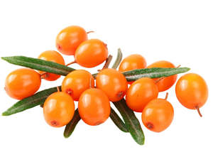 Carrier Oils 1: Sea Buckthorn Oil