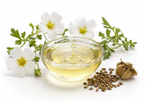 Carrier Oils: Meadowfoam Oil