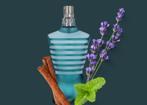 Fragrance Oils: Le Male Type Fragrance Oil