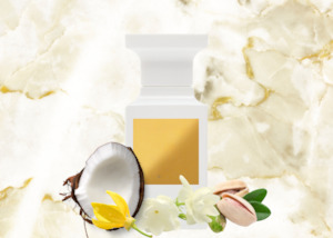 Fragrance Oils: Soleil Blanc Type Fragrance Oil