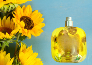 Fragrance Oils: Sunflower Pop Type Fragrance Oil
