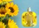 Sunflower Pop Type Fragrance Oil