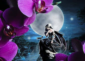 Earthy Fragrances: Midnight Orchid Fragrance Oil