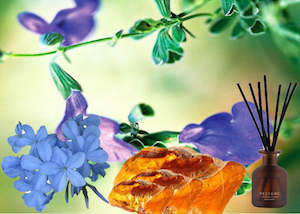Blue Sage Fragrance Oil