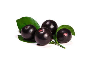 Acai Berry Oil - Organic