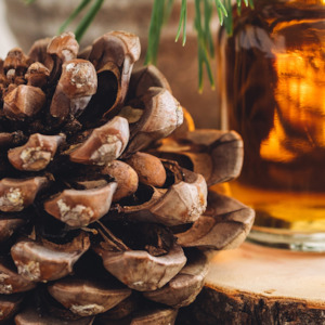 Fragrance: Sugar Pine and Patchouli