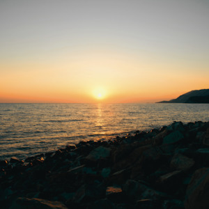 Fragrance: Black Sea Fragrance