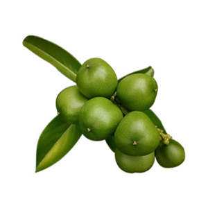 New: Cacay Oil