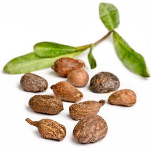 Lavender Bath Melts: Shea Butter, Refined - Fair Trade