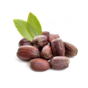 Jojoba Oil 1: Jojoba Oil
