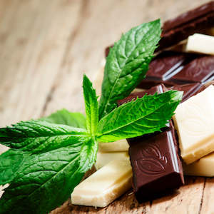 Peppermint Slice: Peppermint Mocha Fragrance