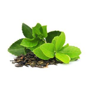 New Zealand Grown Ingredients: ZeaDerMX™ NZ Green Tea Extract
