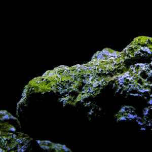 Home Fragrance 1: Black Coral & Moss Fragrance